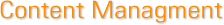 Content Management Systems