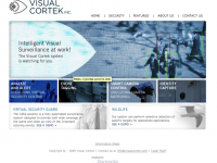 Visual Cortek
