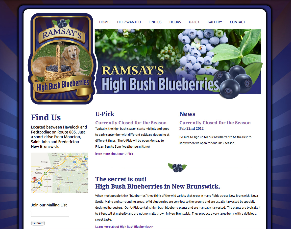 Ramsay’s High Bush Blueberries